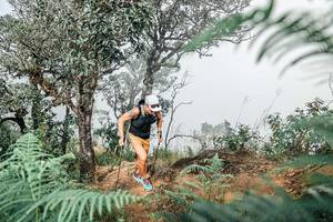 BIB: 
                            <button type="button" onclick="openModal(25326295)" class="btn btn-primary btn-sm float-right btn-popup" data-toggle="modal" data-target=".modal-high-quality">
                        <i class="fas fa-shopping-cart"></i> Add to Cart
                    </button>
                                            <button type="button" onclick="isThisMe(25326295, true)" class="btn btn-success btn-sm float-right btn-popup btn-isme hidden" data-toggle="tooltip" data-placement="bottom" title="นี่คือรูปของคุณใช่ไหม คลิกที่นี่เพื่อเอาเข้าอัลบั้ม">
                        <i class="fas fa-plus"></i> Add to album
                    </button>
                    <button type="button" onclick="isThisMe(25326295, false)" class="btn btn-warning btn-sm float-right btn-popup btn-isnotme hidden">
                        <i class="fas fa-ban"></i> Remove from album
                    </button>