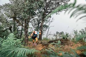 BIB: 
                            <button type="button" onclick="openModal(25326146)" class="btn btn-primary btn-sm float-right btn-popup" data-toggle="modal" data-target=".modal-high-quality">
                        <i class="fas fa-shopping-cart"></i> Add to Cart
                    </button>
                                            <button type="button" onclick="isThisMe(25326146, true)" class="btn btn-success btn-sm float-right btn-popup btn-isme hidden" data-toggle="tooltip" data-placement="bottom" title="นี่คือรูปของคุณใช่ไหม คลิกที่นี่เพื่อเอาเข้าอัลบั้ม">
                        <i class="fas fa-plus"></i> Add to album
                    </button>
                    <button type="button" onclick="isThisMe(25326146, false)" class="btn btn-warning btn-sm float-right btn-popup btn-isnotme hidden">
                        <i class="fas fa-ban"></i> Remove from album
                    </button>