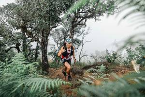 BIB: 
                            <button type="button" onclick="openModal(25327862)" class="btn btn-primary btn-sm float-right btn-popup" data-toggle="modal" data-target=".modal-high-quality">
                        <i class="fas fa-shopping-cart"></i> Add to Cart
                    </button>
                                            <button type="button" onclick="isThisMe(25327862, true)" class="btn btn-success btn-sm float-right btn-popup btn-isme hidden" data-toggle="tooltip" data-placement="bottom" title="นี่คือรูปของคุณใช่ไหม คลิกที่นี่เพื่อเอาเข้าอัลบั้ม">
                        <i class="fas fa-plus"></i> Add to album
                    </button>
                    <button type="button" onclick="isThisMe(25327862, false)" class="btn btn-warning btn-sm float-right btn-popup btn-isnotme hidden">
                        <i class="fas fa-ban"></i> Remove from album
                    </button>