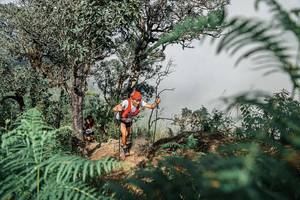 BIB: 
                            <button type="button" onclick="openModal(25326271)" class="btn btn-primary btn-sm float-right btn-popup" data-toggle="modal" data-target=".modal-high-quality">
                        <i class="fas fa-shopping-cart"></i> Add to Cart
                    </button>
                                            <button type="button" onclick="isThisMe(25326271, true)" class="btn btn-success btn-sm float-right btn-popup btn-isme hidden" data-toggle="tooltip" data-placement="bottom" title="นี่คือรูปของคุณใช่ไหม คลิกที่นี่เพื่อเอาเข้าอัลบั้ม">
                        <i class="fas fa-plus"></i> Add to album
                    </button>
                    <button type="button" onclick="isThisMe(25326271, false)" class="btn btn-warning btn-sm float-right btn-popup btn-isnotme hidden">
                        <i class="fas fa-ban"></i> Remove from album
                    </button>