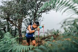 BIB: 
                            <button type="button" onclick="openModal(25326605)" class="btn btn-primary btn-sm float-right btn-popup" data-toggle="modal" data-target=".modal-high-quality">
                        <i class="fas fa-shopping-cart"></i> Add to Cart
                    </button>
                                            <button type="button" onclick="isThisMe(25326605, true)" class="btn btn-success btn-sm float-right btn-popup btn-isme hidden" data-toggle="tooltip" data-placement="bottom" title="นี่คือรูปของคุณใช่ไหม คลิกที่นี่เพื่อเอาเข้าอัลบั้ม">
                        <i class="fas fa-plus"></i> Add to album
                    </button>
                    <button type="button" onclick="isThisMe(25326605, false)" class="btn btn-warning btn-sm float-right btn-popup btn-isnotme hidden">
                        <i class="fas fa-ban"></i> Remove from album
                    </button>