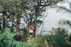 BIB: 
                            <button type="button" onclick="openModal(25326637)" class="btn btn-primary btn-sm float-right btn-popup" data-toggle="modal" data-target=".modal-high-quality">
                        <i class="fas fa-shopping-cart"></i> Add to Cart
                    </button>
                                            <button type="button" onclick="isThisMe(25326637, true)" class="btn btn-success btn-sm float-right btn-popup btn-isme hidden" data-toggle="tooltip" data-placement="bottom" title="นี่คือรูปของคุณใช่ไหม คลิกที่นี่เพื่อเอาเข้าอัลบั้ม">
                        <i class="fas fa-plus"></i> Add to album
                    </button>
                    <button type="button" onclick="isThisMe(25326637, false)" class="btn btn-warning btn-sm float-right btn-popup btn-isnotme hidden">
                        <i class="fas fa-ban"></i> Remove from album
                    </button>