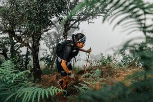 BIB: 
                            <button type="button" onclick="openModal(25327763)" class="btn btn-primary btn-sm float-right btn-popup" data-toggle="modal" data-target=".modal-high-quality">
                        <i class="fas fa-shopping-cart"></i> Add to Cart
                    </button>
                                            <button type="button" onclick="isThisMe(25327763, true)" class="btn btn-success btn-sm float-right btn-popup btn-isme hidden" data-toggle="tooltip" data-placement="bottom" title="นี่คือรูปของคุณใช่ไหม คลิกที่นี่เพื่อเอาเข้าอัลบั้ม">
                        <i class="fas fa-plus"></i> Add to album
                    </button>
                    <button type="button" onclick="isThisMe(25327763, false)" class="btn btn-warning btn-sm float-right btn-popup btn-isnotme hidden">
                        <i class="fas fa-ban"></i> Remove from album
                    </button>