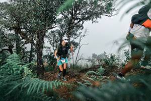 BIB: 
                            <button type="button" onclick="openModal(25328207)" class="btn btn-primary btn-sm float-right btn-popup" data-toggle="modal" data-target=".modal-high-quality">
                        <i class="fas fa-shopping-cart"></i> Add to Cart
                    </button>
                                            <button type="button" onclick="isThisMe(25328207, true)" class="btn btn-success btn-sm float-right btn-popup btn-isme hidden" data-toggle="tooltip" data-placement="bottom" title="นี่คือรูปของคุณใช่ไหม คลิกที่นี่เพื่อเอาเข้าอัลบั้ม">
                        <i class="fas fa-plus"></i> Add to album
                    </button>
                    <button type="button" onclick="isThisMe(25328207, false)" class="btn btn-warning btn-sm float-right btn-popup btn-isnotme hidden">
                        <i class="fas fa-ban"></i> Remove from album
                    </button>