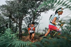 BIB: 
                            <button type="button" onclick="openModal(25326561)" class="btn btn-primary btn-sm float-right btn-popup" data-toggle="modal" data-target=".modal-high-quality">
                        <i class="fas fa-shopping-cart"></i> Add to Cart
                    </button>
                                            <button type="button" onclick="isThisMe(25326561, true)" class="btn btn-success btn-sm float-right btn-popup btn-isme hidden" data-toggle="tooltip" data-placement="bottom" title="นี่คือรูปของคุณใช่ไหม คลิกที่นี่เพื่อเอาเข้าอัลบั้ม">
                        <i class="fas fa-plus"></i> Add to album
                    </button>
                    <button type="button" onclick="isThisMe(25326561, false)" class="btn btn-warning btn-sm float-right btn-popup btn-isnotme hidden">
                        <i class="fas fa-ban"></i> Remove from album
                    </button>