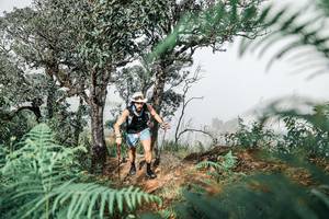 BIB: 
                            <button type="button" onclick="openModal(25326445)" class="btn btn-primary btn-sm float-right btn-popup" data-toggle="modal" data-target=".modal-high-quality">
                        <i class="fas fa-shopping-cart"></i> Add to Cart
                    </button>
                                            <button type="button" onclick="isThisMe(25326445, true)" class="btn btn-success btn-sm float-right btn-popup btn-isme hidden" data-toggle="tooltip" data-placement="bottom" title="นี่คือรูปของคุณใช่ไหม คลิกที่นี่เพื่อเอาเข้าอัลบั้ม">
                        <i class="fas fa-plus"></i> Add to album
                    </button>
                    <button type="button" onclick="isThisMe(25326445, false)" class="btn btn-warning btn-sm float-right btn-popup btn-isnotme hidden">
                        <i class="fas fa-ban"></i> Remove from album
                    </button>