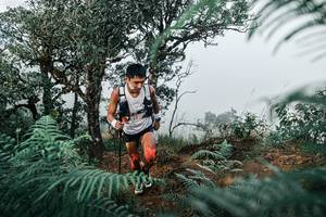 BIB: 
                            <button type="button" onclick="openModal(25328195)" class="btn btn-primary btn-sm float-right btn-popup" data-toggle="modal" data-target=".modal-high-quality">
                        <i class="fas fa-shopping-cart"></i> Add to Cart
                    </button>
                                            <button type="button" onclick="isThisMe(25328195, true)" class="btn btn-success btn-sm float-right btn-popup btn-isme hidden" data-toggle="tooltip" data-placement="bottom" title="นี่คือรูปของคุณใช่ไหม คลิกที่นี่เพื่อเอาเข้าอัลบั้ม">
                        <i class="fas fa-plus"></i> Add to album
                    </button>
                    <button type="button" onclick="isThisMe(25328195, false)" class="btn btn-warning btn-sm float-right btn-popup btn-isnotme hidden">
                        <i class="fas fa-ban"></i> Remove from album
                    </button>