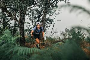 BIB: 
                            <button type="button" onclick="openModal(25326897)" class="btn btn-primary btn-sm float-right btn-popup" data-toggle="modal" data-target=".modal-high-quality">
                        <i class="fas fa-shopping-cart"></i> Add to Cart
                    </button>
                                            <button type="button" onclick="isThisMe(25326897, true)" class="btn btn-success btn-sm float-right btn-popup btn-isme hidden" data-toggle="tooltip" data-placement="bottom" title="นี่คือรูปของคุณใช่ไหม คลิกที่นี่เพื่อเอาเข้าอัลบั้ม">
                        <i class="fas fa-plus"></i> Add to album
                    </button>
                    <button type="button" onclick="isThisMe(25326897, false)" class="btn btn-warning btn-sm float-right btn-popup btn-isnotme hidden">
                        <i class="fas fa-ban"></i> Remove from album
                    </button>