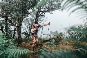 BIB: 
                            <button type="button" onclick="openModal(25327311)" class="btn btn-primary btn-sm float-right btn-popup" data-toggle="modal" data-target=".modal-high-quality">
                        <i class="fas fa-shopping-cart"></i> Add to Cart
                    </button>
                                            <button type="button" onclick="isThisMe(25327311, true)" class="btn btn-success btn-sm float-right btn-popup btn-isme hidden" data-toggle="tooltip" data-placement="bottom" title="นี่คือรูปของคุณใช่ไหม คลิกที่นี่เพื่อเอาเข้าอัลบั้ม">
                        <i class="fas fa-plus"></i> Add to album
                    </button>
                    <button type="button" onclick="isThisMe(25327311, false)" class="btn btn-warning btn-sm float-right btn-popup btn-isnotme hidden">
                        <i class="fas fa-ban"></i> Remove from album
                    </button>