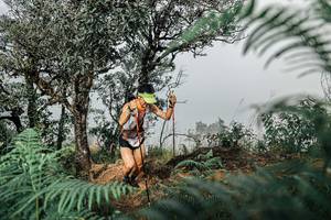 BIB: 
                            <button type="button" onclick="openModal(25326207)" class="btn btn-primary btn-sm float-right btn-popup" data-toggle="modal" data-target=".modal-high-quality">
                        <i class="fas fa-shopping-cart"></i> Add to Cart
                    </button>
                                            <button type="button" onclick="isThisMe(25326207, true)" class="btn btn-success btn-sm float-right btn-popup btn-isme hidden" data-toggle="tooltip" data-placement="bottom" title="นี่คือรูปของคุณใช่ไหม คลิกที่นี่เพื่อเอาเข้าอัลบั้ม">
                        <i class="fas fa-plus"></i> Add to album
                    </button>
                    <button type="button" onclick="isThisMe(25326207, false)" class="btn btn-warning btn-sm float-right btn-popup btn-isnotme hidden">
                        <i class="fas fa-ban"></i> Remove from album
                    </button>