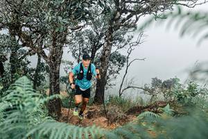 BIB: 
                            <button type="button" onclick="openModal(25326609)" class="btn btn-primary btn-sm float-right btn-popup" data-toggle="modal" data-target=".modal-high-quality">
                        <i class="fas fa-shopping-cart"></i> Add to Cart
                    </button>
                                            <button type="button" onclick="isThisMe(25326609, true)" class="btn btn-success btn-sm float-right btn-popup btn-isme hidden" data-toggle="tooltip" data-placement="bottom" title="นี่คือรูปของคุณใช่ไหม คลิกที่นี่เพื่อเอาเข้าอัลบั้ม">
                        <i class="fas fa-plus"></i> Add to album
                    </button>
                    <button type="button" onclick="isThisMe(25326609, false)" class="btn btn-warning btn-sm float-right btn-popup btn-isnotme hidden">
                        <i class="fas fa-ban"></i> Remove from album
                    </button>