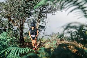 BIB: 
                            <button type="button" onclick="openModal(25327393)" class="btn btn-primary btn-sm float-right btn-popup" data-toggle="modal" data-target=".modal-high-quality">
                        <i class="fas fa-shopping-cart"></i> Add to Cart
                    </button>
                                            <button type="button" onclick="isThisMe(25327393, true)" class="btn btn-success btn-sm float-right btn-popup btn-isme hidden" data-toggle="tooltip" data-placement="bottom" title="นี่คือรูปของคุณใช่ไหม คลิกที่นี่เพื่อเอาเข้าอัลบั้ม">
                        <i class="fas fa-plus"></i> Add to album
                    </button>
                    <button type="button" onclick="isThisMe(25327393, false)" class="btn btn-warning btn-sm float-right btn-popup btn-isnotme hidden">
                        <i class="fas fa-ban"></i> Remove from album
                    </button>