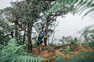 BIB: 
                            <button type="button" onclick="openModal(25326421)" class="btn btn-primary btn-sm float-right btn-popup" data-toggle="modal" data-target=".modal-high-quality">
                        <i class="fas fa-shopping-cart"></i> Add to Cart
                    </button>
                                            <button type="button" onclick="isThisMe(25326421, true)" class="btn btn-success btn-sm float-right btn-popup btn-isme hidden" data-toggle="tooltip" data-placement="bottom" title="นี่คือรูปของคุณใช่ไหม คลิกที่นี่เพื่อเอาเข้าอัลบั้ม">
                        <i class="fas fa-plus"></i> Add to album
                    </button>
                    <button type="button" onclick="isThisMe(25326421, false)" class="btn btn-warning btn-sm float-right btn-popup btn-isnotme hidden">
                        <i class="fas fa-ban"></i> Remove from album
                    </button>