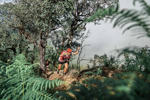 BIB: 
                            <button type="button" onclick="openModal(25326270)" class="btn btn-primary btn-sm float-right btn-popup" data-toggle="modal" data-target=".modal-high-quality">
                        <i class="fas fa-shopping-cart"></i> Add to Cart
                    </button>
                                            <button type="button" onclick="isThisMe(25326270, true)" class="btn btn-success btn-sm float-right btn-popup btn-isme hidden" data-toggle="tooltip" data-placement="bottom" title="นี่คือรูปของคุณใช่ไหม คลิกที่นี่เพื่อเอาเข้าอัลบั้ม">
                        <i class="fas fa-plus"></i> Add to album
                    </button>
                    <button type="button" onclick="isThisMe(25326270, false)" class="btn btn-warning btn-sm float-right btn-popup btn-isnotme hidden">
                        <i class="fas fa-ban"></i> Remove from album
                    </button>