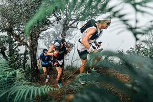 BIB: 
                            <button type="button" onclick="openModal(25328119)" class="btn btn-primary btn-sm float-right btn-popup" data-toggle="modal" data-target=".modal-high-quality">
                        <i class="fas fa-shopping-cart"></i> Add to Cart
                    </button>
                                            <button type="button" onclick="isThisMe(25328119, true)" class="btn btn-success btn-sm float-right btn-popup btn-isme hidden" data-toggle="tooltip" data-placement="bottom" title="นี่คือรูปของคุณใช่ไหม คลิกที่นี่เพื่อเอาเข้าอัลบั้ม">
                        <i class="fas fa-plus"></i> Add to album
                    </button>
                    <button type="button" onclick="isThisMe(25328119, false)" class="btn btn-warning btn-sm float-right btn-popup btn-isnotme hidden">
                        <i class="fas fa-ban"></i> Remove from album
                    </button>