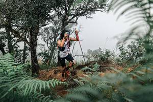 BIB: 
                            <button type="button" onclick="openModal(25327818)" class="btn btn-primary btn-sm float-right btn-popup" data-toggle="modal" data-target=".modal-high-quality">
                        <i class="fas fa-shopping-cart"></i> Add to Cart
                    </button>
                                            <button type="button" onclick="isThisMe(25327818, true)" class="btn btn-success btn-sm float-right btn-popup btn-isme hidden" data-toggle="tooltip" data-placement="bottom" title="นี่คือรูปของคุณใช่ไหม คลิกที่นี่เพื่อเอาเข้าอัลบั้ม">
                        <i class="fas fa-plus"></i> Add to album
                    </button>
                    <button type="button" onclick="isThisMe(25327818, false)" class="btn btn-warning btn-sm float-right btn-popup btn-isnotme hidden">
                        <i class="fas fa-ban"></i> Remove from album
                    </button>