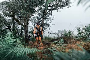 BIB: 
                            <button type="button" onclick="openModal(25327239)" class="btn btn-primary btn-sm float-right btn-popup" data-toggle="modal" data-target=".modal-high-quality">
                        <i class="fas fa-shopping-cart"></i> Add to Cart
                    </button>
                                            <button type="button" onclick="isThisMe(25327239, true)" class="btn btn-success btn-sm float-right btn-popup btn-isme hidden" data-toggle="tooltip" data-placement="bottom" title="นี่คือรูปของคุณใช่ไหม คลิกที่นี่เพื่อเอาเข้าอัลบั้ม">
                        <i class="fas fa-plus"></i> Add to album
                    </button>
                    <button type="button" onclick="isThisMe(25327239, false)" class="btn btn-warning btn-sm float-right btn-popup btn-isnotme hidden">
                        <i class="fas fa-ban"></i> Remove from album
                    </button>