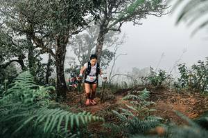 BIB: 
                            <button type="button" onclick="openModal(25327937)" class="btn btn-primary btn-sm float-right btn-popup" data-toggle="modal" data-target=".modal-high-quality">
                        <i class="fas fa-shopping-cart"></i> Add to Cart
                    </button>
                                            <button type="button" onclick="isThisMe(25327937, true)" class="btn btn-success btn-sm float-right btn-popup btn-isme hidden" data-toggle="tooltip" data-placement="bottom" title="นี่คือรูปของคุณใช่ไหม คลิกที่นี่เพื่อเอาเข้าอัลบั้ม">
                        <i class="fas fa-plus"></i> Add to album
                    </button>
                    <button type="button" onclick="isThisMe(25327937, false)" class="btn btn-warning btn-sm float-right btn-popup btn-isnotme hidden">
                        <i class="fas fa-ban"></i> Remove from album
                    </button>