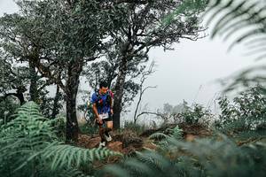 BIB: 
                            <button type="button" onclick="openModal(25327623)" class="btn btn-primary btn-sm float-right btn-popup" data-toggle="modal" data-target=".modal-high-quality">
                        <i class="fas fa-shopping-cart"></i> Add to Cart
                    </button>
                                            <button type="button" onclick="isThisMe(25327623, true)" class="btn btn-success btn-sm float-right btn-popup btn-isme hidden" data-toggle="tooltip" data-placement="bottom" title="นี่คือรูปของคุณใช่ไหม คลิกที่นี่เพื่อเอาเข้าอัลบั้ม">
                        <i class="fas fa-plus"></i> Add to album
                    </button>
                    <button type="button" onclick="isThisMe(25327623, false)" class="btn btn-warning btn-sm float-right btn-popup btn-isnotme hidden">
                        <i class="fas fa-ban"></i> Remove from album
                    </button>