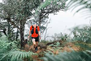 BIB: 
                            <button type="button" onclick="openModal(25327285)" class="btn btn-primary btn-sm float-right btn-popup" data-toggle="modal" data-target=".modal-high-quality">
                        <i class="fas fa-shopping-cart"></i> Add to Cart
                    </button>
                                            <button type="button" onclick="isThisMe(25327285, true)" class="btn btn-success btn-sm float-right btn-popup btn-isme hidden" data-toggle="tooltip" data-placement="bottom" title="นี่คือรูปของคุณใช่ไหม คลิกที่นี่เพื่อเอาเข้าอัลบั้ม">
                        <i class="fas fa-plus"></i> Add to album
                    </button>
                    <button type="button" onclick="isThisMe(25327285, false)" class="btn btn-warning btn-sm float-right btn-popup btn-isnotme hidden">
                        <i class="fas fa-ban"></i> Remove from album
                    </button>