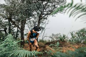 BIB: 
                            <button type="button" onclick="openModal(25326356)" class="btn btn-primary btn-sm float-right btn-popup" data-toggle="modal" data-target=".modal-high-quality">
                        <i class="fas fa-shopping-cart"></i> Add to Cart
                    </button>
                                            <button type="button" onclick="isThisMe(25326356, true)" class="btn btn-success btn-sm float-right btn-popup btn-isme hidden" data-toggle="tooltip" data-placement="bottom" title="นี่คือรูปของคุณใช่ไหม คลิกที่นี่เพื่อเอาเข้าอัลบั้ม">
                        <i class="fas fa-plus"></i> Add to album
                    </button>
                    <button type="button" onclick="isThisMe(25326356, false)" class="btn btn-warning btn-sm float-right btn-popup btn-isnotme hidden">
                        <i class="fas fa-ban"></i> Remove from album
                    </button>