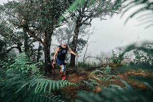 BIB: 
                            <button type="button" onclick="openModal(25328076)" class="btn btn-primary btn-sm float-right btn-popup" data-toggle="modal" data-target=".modal-high-quality">
                        <i class="fas fa-shopping-cart"></i> Add to Cart
                    </button>
                                            <button type="button" onclick="isThisMe(25328076, true)" class="btn btn-success btn-sm float-right btn-popup btn-isme hidden" data-toggle="tooltip" data-placement="bottom" title="นี่คือรูปของคุณใช่ไหม คลิกที่นี่เพื่อเอาเข้าอัลบั้ม">
                        <i class="fas fa-plus"></i> Add to album
                    </button>
                    <button type="button" onclick="isThisMe(25328076, false)" class="btn btn-warning btn-sm float-right btn-popup btn-isnotme hidden">
                        <i class="fas fa-ban"></i> Remove from album
                    </button>