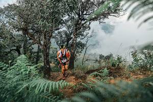 BIB: 
                            <button type="button" onclick="openModal(25326250)" class="btn btn-primary btn-sm float-right btn-popup" data-toggle="modal" data-target=".modal-high-quality">
                        <i class="fas fa-shopping-cart"></i> Add to Cart
                    </button>
                                            <button type="button" onclick="isThisMe(25326250, true)" class="btn btn-success btn-sm float-right btn-popup btn-isme hidden" data-toggle="tooltip" data-placement="bottom" title="นี่คือรูปของคุณใช่ไหม คลิกที่นี่เพื่อเอาเข้าอัลบั้ม">
                        <i class="fas fa-plus"></i> Add to album
                    </button>
                    <button type="button" onclick="isThisMe(25326250, false)" class="btn btn-warning btn-sm float-right btn-popup btn-isnotme hidden">
                        <i class="fas fa-ban"></i> Remove from album
                    </button>