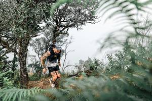 BIB: 
                            <button type="button" onclick="openModal(25326131)" class="btn btn-primary btn-sm float-right btn-popup" data-toggle="modal" data-target=".modal-high-quality">
                        <i class="fas fa-shopping-cart"></i> Add to Cart
                    </button>
                                            <button type="button" onclick="isThisMe(25326131, true)" class="btn btn-success btn-sm float-right btn-popup btn-isme hidden" data-toggle="tooltip" data-placement="bottom" title="นี่คือรูปของคุณใช่ไหม คลิกที่นี่เพื่อเอาเข้าอัลบั้ม">
                        <i class="fas fa-plus"></i> Add to album
                    </button>
                    <button type="button" onclick="isThisMe(25326131, false)" class="btn btn-warning btn-sm float-right btn-popup btn-isnotme hidden">
                        <i class="fas fa-ban"></i> Remove from album
                    </button>