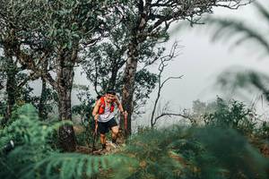 BIB: 
                            <button type="button" onclick="openModal(25326654)" class="btn btn-primary btn-sm float-right btn-popup" data-toggle="modal" data-target=".modal-high-quality">
                        <i class="fas fa-shopping-cart"></i> Add to Cart
                    </button>
                                            <button type="button" onclick="isThisMe(25326654, true)" class="btn btn-success btn-sm float-right btn-popup btn-isme hidden" data-toggle="tooltip" data-placement="bottom" title="นี่คือรูปของคุณใช่ไหม คลิกที่นี่เพื่อเอาเข้าอัลบั้ม">
                        <i class="fas fa-plus"></i> Add to album
                    </button>
                    <button type="button" onclick="isThisMe(25326654, false)" class="btn btn-warning btn-sm float-right btn-popup btn-isnotme hidden">
                        <i class="fas fa-ban"></i> Remove from album
                    </button>