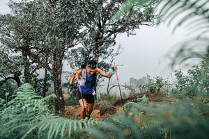 BIB: 
                            <button type="button" onclick="openModal(25326602)" class="btn btn-primary btn-sm float-right btn-popup" data-toggle="modal" data-target=".modal-high-quality">
                        <i class="fas fa-shopping-cart"></i> Add to Cart
                    </button>
                                            <button type="button" onclick="isThisMe(25326602, true)" class="btn btn-success btn-sm float-right btn-popup btn-isme hidden" data-toggle="tooltip" data-placement="bottom" title="นี่คือรูปของคุณใช่ไหม คลิกที่นี่เพื่อเอาเข้าอัลบั้ม">
                        <i class="fas fa-plus"></i> Add to album
                    </button>
                    <button type="button" onclick="isThisMe(25326602, false)" class="btn btn-warning btn-sm float-right btn-popup btn-isnotme hidden">
                        <i class="fas fa-ban"></i> Remove from album
                    </button>