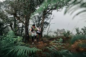 BIB: 
                            <button type="button" onclick="openModal(25327988)" class="btn btn-primary btn-sm float-right btn-popup" data-toggle="modal" data-target=".modal-high-quality">
                        <i class="fas fa-shopping-cart"></i> Add to Cart
                    </button>
                                            <button type="button" onclick="isThisMe(25327988, true)" class="btn btn-success btn-sm float-right btn-popup btn-isme hidden" data-toggle="tooltip" data-placement="bottom" title="นี่คือรูปของคุณใช่ไหม คลิกที่นี่เพื่อเอาเข้าอัลบั้ม">
                        <i class="fas fa-plus"></i> Add to album
                    </button>
                    <button type="button" onclick="isThisMe(25327988, false)" class="btn btn-warning btn-sm float-right btn-popup btn-isnotme hidden">
                        <i class="fas fa-ban"></i> Remove from album
                    </button>