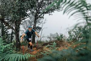 BIB: 
                            <button type="button" onclick="openModal(25327368)" class="btn btn-primary btn-sm float-right btn-popup" data-toggle="modal" data-target=".modal-high-quality">
                        <i class="fas fa-shopping-cart"></i> Add to Cart
                    </button>
                                            <button type="button" onclick="isThisMe(25327368, true)" class="btn btn-success btn-sm float-right btn-popup btn-isme hidden" data-toggle="tooltip" data-placement="bottom" title="นี่คือรูปของคุณใช่ไหม คลิกที่นี่เพื่อเอาเข้าอัลบั้ม">
                        <i class="fas fa-plus"></i> Add to album
                    </button>
                    <button type="button" onclick="isThisMe(25327368, false)" class="btn btn-warning btn-sm float-right btn-popup btn-isnotme hidden">
                        <i class="fas fa-ban"></i> Remove from album
                    </button>