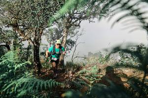 BIB: 
                            <button type="button" onclick="openModal(25328065)" class="btn btn-primary btn-sm float-right btn-popup" data-toggle="modal" data-target=".modal-high-quality">
                        <i class="fas fa-shopping-cart"></i> Add to Cart
                    </button>
                                            <button type="button" onclick="isThisMe(25328065, true)" class="btn btn-success btn-sm float-right btn-popup btn-isme hidden" data-toggle="tooltip" data-placement="bottom" title="นี่คือรูปของคุณใช่ไหม คลิกที่นี่เพื่อเอาเข้าอัลบั้ม">
                        <i class="fas fa-plus"></i> Add to album
                    </button>
                    <button type="button" onclick="isThisMe(25328065, false)" class="btn btn-warning btn-sm float-right btn-popup btn-isnotme hidden">
                        <i class="fas fa-ban"></i> Remove from album
                    </button>