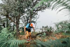 BIB: 
                            <button type="button" onclick="openModal(25326152)" class="btn btn-primary btn-sm float-right btn-popup" data-toggle="modal" data-target=".modal-high-quality">
                        <i class="fas fa-shopping-cart"></i> Add to Cart
                    </button>
                                            <button type="button" onclick="isThisMe(25326152, true)" class="btn btn-success btn-sm float-right btn-popup btn-isme hidden" data-toggle="tooltip" data-placement="bottom" title="นี่คือรูปของคุณใช่ไหม คลิกที่นี่เพื่อเอาเข้าอัลบั้ม">
                        <i class="fas fa-plus"></i> Add to album
                    </button>
                    <button type="button" onclick="isThisMe(25326152, false)" class="btn btn-warning btn-sm float-right btn-popup btn-isnotme hidden">
                        <i class="fas fa-ban"></i> Remove from album
                    </button>