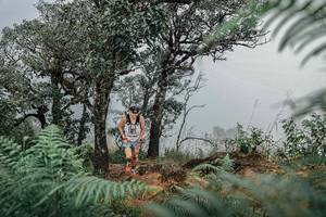 BIB: 
                            <button type="button" onclick="openModal(25326140)" class="btn btn-primary btn-sm float-right btn-popup" data-toggle="modal" data-target=".modal-high-quality">
                        <i class="fas fa-shopping-cart"></i> Add to Cart
                    </button>
                                            <button type="button" onclick="isThisMe(25326140, true)" class="btn btn-success btn-sm float-right btn-popup btn-isme hidden" data-toggle="tooltip" data-placement="bottom" title="นี่คือรูปของคุณใช่ไหม คลิกที่นี่เพื่อเอาเข้าอัลบั้ม">
                        <i class="fas fa-plus"></i> Add to album
                    </button>
                    <button type="button" onclick="isThisMe(25326140, false)" class="btn btn-warning btn-sm float-right btn-popup btn-isnotme hidden">
                        <i class="fas fa-ban"></i> Remove from album
                    </button>