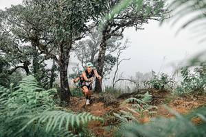 BIB: 
                            <button type="button" onclick="openModal(25327834)" class="btn btn-primary btn-sm float-right btn-popup" data-toggle="modal" data-target=".modal-high-quality">
                        <i class="fas fa-shopping-cart"></i> Add to Cart
                    </button>
                                            <button type="button" onclick="isThisMe(25327834, true)" class="btn btn-success btn-sm float-right btn-popup btn-isme hidden" data-toggle="tooltip" data-placement="bottom" title="นี่คือรูปของคุณใช่ไหม คลิกที่นี่เพื่อเอาเข้าอัลบั้ม">
                        <i class="fas fa-plus"></i> Add to album
                    </button>
                    <button type="button" onclick="isThisMe(25327834, false)" class="btn btn-warning btn-sm float-right btn-popup btn-isnotme hidden">
                        <i class="fas fa-ban"></i> Remove from album
                    </button>