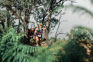 BIB: 
                            <button type="button" onclick="openModal(25326823)" class="btn btn-primary btn-sm float-right btn-popup" data-toggle="modal" data-target=".modal-high-quality">
                        <i class="fas fa-shopping-cart"></i> Add to Cart
                    </button>
                                            <button type="button" onclick="isThisMe(25326823, true)" class="btn btn-success btn-sm float-right btn-popup btn-isme hidden" data-toggle="tooltip" data-placement="bottom" title="นี่คือรูปของคุณใช่ไหม คลิกที่นี่เพื่อเอาเข้าอัลบั้ม">
                        <i class="fas fa-plus"></i> Add to album
                    </button>
                    <button type="button" onclick="isThisMe(25326823, false)" class="btn btn-warning btn-sm float-right btn-popup btn-isnotme hidden">
                        <i class="fas fa-ban"></i> Remove from album
                    </button>