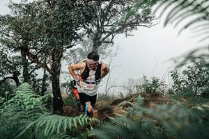 BIB: 
                            <button type="button" onclick="openModal(25327567)" class="btn btn-primary btn-sm float-right btn-popup" data-toggle="modal" data-target=".modal-high-quality">
                        <i class="fas fa-shopping-cart"></i> Add to Cart
                    </button>
                                            <button type="button" onclick="isThisMe(25327567, true)" class="btn btn-success btn-sm float-right btn-popup btn-isme hidden" data-toggle="tooltip" data-placement="bottom" title="นี่คือรูปของคุณใช่ไหม คลิกที่นี่เพื่อเอาเข้าอัลบั้ม">
                        <i class="fas fa-plus"></i> Add to album
                    </button>
                    <button type="button" onclick="isThisMe(25327567, false)" class="btn btn-warning btn-sm float-right btn-popup btn-isnotme hidden">
                        <i class="fas fa-ban"></i> Remove from album
                    </button>