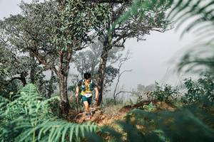 BIB: 
                            <button type="button" onclick="openModal(25326526)" class="btn btn-primary btn-sm float-right btn-popup" data-toggle="modal" data-target=".modal-high-quality">
                        <i class="fas fa-shopping-cart"></i> Add to Cart
                    </button>
                                            <button type="button" onclick="isThisMe(25326526, true)" class="btn btn-success btn-sm float-right btn-popup btn-isme hidden" data-toggle="tooltip" data-placement="bottom" title="นี่คือรูปของคุณใช่ไหม คลิกที่นี่เพื่อเอาเข้าอัลบั้ม">
                        <i class="fas fa-plus"></i> Add to album
                    </button>
                    <button type="button" onclick="isThisMe(25326526, false)" class="btn btn-warning btn-sm float-right btn-popup btn-isnotme hidden">
                        <i class="fas fa-ban"></i> Remove from album
                    </button>