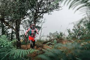 BIB: 
                            <button type="button" onclick="openModal(25327661)" class="btn btn-primary btn-sm float-right btn-popup" data-toggle="modal" data-target=".modal-high-quality">
                        <i class="fas fa-shopping-cart"></i> Add to Cart
                    </button>
                                            <button type="button" onclick="isThisMe(25327661, true)" class="btn btn-success btn-sm float-right btn-popup btn-isme hidden" data-toggle="tooltip" data-placement="bottom" title="นี่คือรูปของคุณใช่ไหม คลิกที่นี่เพื่อเอาเข้าอัลบั้ม">
                        <i class="fas fa-plus"></i> Add to album
                    </button>
                    <button type="button" onclick="isThisMe(25327661, false)" class="btn btn-warning btn-sm float-right btn-popup btn-isnotme hidden">
                        <i class="fas fa-ban"></i> Remove from album
                    </button>