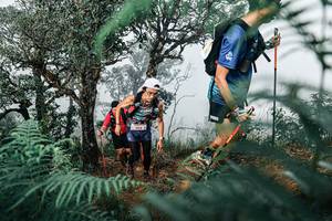 BIB: 
                            <button type="button" onclick="openModal(25328140)" class="btn btn-primary btn-sm float-right btn-popup" data-toggle="modal" data-target=".modal-high-quality">
                        <i class="fas fa-shopping-cart"></i> Add to Cart
                    </button>
                                            <button type="button" onclick="isThisMe(25328140, true)" class="btn btn-success btn-sm float-right btn-popup btn-isme hidden" data-toggle="tooltip" data-placement="bottom" title="นี่คือรูปของคุณใช่ไหม คลิกที่นี่เพื่อเอาเข้าอัลบั้ม">
                        <i class="fas fa-plus"></i> Add to album
                    </button>
                    <button type="button" onclick="isThisMe(25328140, false)" class="btn btn-warning btn-sm float-right btn-popup btn-isnotme hidden">
                        <i class="fas fa-ban"></i> Remove from album
                    </button>