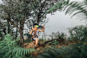 BIB: 
                            <button type="button" onclick="openModal(25326206)" class="btn btn-primary btn-sm float-right btn-popup" data-toggle="modal" data-target=".modal-high-quality">
                        <i class="fas fa-shopping-cart"></i> Add to Cart
                    </button>
                                            <button type="button" onclick="isThisMe(25326206, true)" class="btn btn-success btn-sm float-right btn-popup btn-isme hidden" data-toggle="tooltip" data-placement="bottom" title="นี่คือรูปของคุณใช่ไหม คลิกที่นี่เพื่อเอาเข้าอัลบั้ม">
                        <i class="fas fa-plus"></i> Add to album
                    </button>
                    <button type="button" onclick="isThisMe(25326206, false)" class="btn btn-warning btn-sm float-right btn-popup btn-isnotme hidden">
                        <i class="fas fa-ban"></i> Remove from album
                    </button>