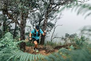 BIB: 
                            <button type="button" onclick="openModal(25326612)" class="btn btn-primary btn-sm float-right btn-popup" data-toggle="modal" data-target=".modal-high-quality">
                        <i class="fas fa-shopping-cart"></i> Add to Cart
                    </button>
                                            <button type="button" onclick="isThisMe(25326612, true)" class="btn btn-success btn-sm float-right btn-popup btn-isme hidden" data-toggle="tooltip" data-placement="bottom" title="นี่คือรูปของคุณใช่ไหม คลิกที่นี่เพื่อเอาเข้าอัลบั้ม">
                        <i class="fas fa-plus"></i> Add to album
                    </button>
                    <button type="button" onclick="isThisMe(25326612, false)" class="btn btn-warning btn-sm float-right btn-popup btn-isnotme hidden">
                        <i class="fas fa-ban"></i> Remove from album
                    </button>