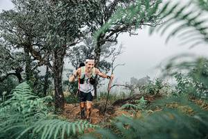 BIB: 
                            <button type="button" onclick="openModal(25326584)" class="btn btn-primary btn-sm float-right btn-popup" data-toggle="modal" data-target=".modal-high-quality">
                        <i class="fas fa-shopping-cart"></i> Add to Cart
                    </button>
                                            <button type="button" onclick="isThisMe(25326584, true)" class="btn btn-success btn-sm float-right btn-popup btn-isme hidden" data-toggle="tooltip" data-placement="bottom" title="นี่คือรูปของคุณใช่ไหม คลิกที่นี่เพื่อเอาเข้าอัลบั้ม">
                        <i class="fas fa-plus"></i> Add to album
                    </button>
                    <button type="button" onclick="isThisMe(25326584, false)" class="btn btn-warning btn-sm float-right btn-popup btn-isnotme hidden">
                        <i class="fas fa-ban"></i> Remove from album
                    </button>