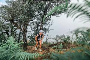 BIB: 
                            <button type="button" onclick="openModal(25326311)" class="btn btn-primary btn-sm float-right btn-popup" data-toggle="modal" data-target=".modal-high-quality">
                        <i class="fas fa-shopping-cart"></i> Add to Cart
                    </button>
                                            <button type="button" onclick="isThisMe(25326311, true)" class="btn btn-success btn-sm float-right btn-popup btn-isme hidden" data-toggle="tooltip" data-placement="bottom" title="นี่คือรูปของคุณใช่ไหม คลิกที่นี่เพื่อเอาเข้าอัลบั้ม">
                        <i class="fas fa-plus"></i> Add to album
                    </button>
                    <button type="button" onclick="isThisMe(25326311, false)" class="btn btn-warning btn-sm float-right btn-popup btn-isnotme hidden">
                        <i class="fas fa-ban"></i> Remove from album
                    </button>