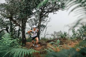 BIB: 
                            <button type="button" onclick="openModal(25327700)" class="btn btn-primary btn-sm float-right btn-popup" data-toggle="modal" data-target=".modal-high-quality">
                        <i class="fas fa-shopping-cart"></i> Add to Cart
                    </button>
                                            <button type="button" onclick="isThisMe(25327700, true)" class="btn btn-success btn-sm float-right btn-popup btn-isme hidden" data-toggle="tooltip" data-placement="bottom" title="นี่คือรูปของคุณใช่ไหม คลิกที่นี่เพื่อเอาเข้าอัลบั้ม">
                        <i class="fas fa-plus"></i> Add to album
                    </button>
                    <button type="button" onclick="isThisMe(25327700, false)" class="btn btn-warning btn-sm float-right btn-popup btn-isnotme hidden">
                        <i class="fas fa-ban"></i> Remove from album
                    </button>