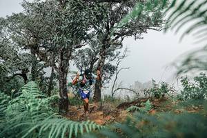 BIB: 
                            <button type="button" onclick="openModal(25326504)" class="btn btn-primary btn-sm float-right btn-popup" data-toggle="modal" data-target=".modal-high-quality">
                        <i class="fas fa-shopping-cart"></i> Add to Cart
                    </button>
                                            <button type="button" onclick="isThisMe(25326504, true)" class="btn btn-success btn-sm float-right btn-popup btn-isme hidden" data-toggle="tooltip" data-placement="bottom" title="นี่คือรูปของคุณใช่ไหม คลิกที่นี่เพื่อเอาเข้าอัลบั้ม">
                        <i class="fas fa-plus"></i> Add to album
                    </button>
                    <button type="button" onclick="isThisMe(25326504, false)" class="btn btn-warning btn-sm float-right btn-popup btn-isnotme hidden">
                        <i class="fas fa-ban"></i> Remove from album
                    </button>