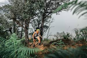 BIB: 
                            <button type="button" onclick="openModal(25326193)" class="btn btn-primary btn-sm float-right btn-popup" data-toggle="modal" data-target=".modal-high-quality">
                        <i class="fas fa-shopping-cart"></i> Add to Cart
                    </button>
                                            <button type="button" onclick="isThisMe(25326193, true)" class="btn btn-success btn-sm float-right btn-popup btn-isme hidden" data-toggle="tooltip" data-placement="bottom" title="นี่คือรูปของคุณใช่ไหม คลิกที่นี่เพื่อเอาเข้าอัลบั้ม">
                        <i class="fas fa-plus"></i> Add to album
                    </button>
                    <button type="button" onclick="isThisMe(25326193, false)" class="btn btn-warning btn-sm float-right btn-popup btn-isnotme hidden">
                        <i class="fas fa-ban"></i> Remove from album
                    </button>