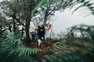 BIB: 
                            <button type="button" onclick="openModal(25328091)" class="btn btn-primary btn-sm float-right btn-popup" data-toggle="modal" data-target=".modal-high-quality">
                        <i class="fas fa-shopping-cart"></i> Add to Cart
                    </button>
                                            <button type="button" onclick="isThisMe(25328091, true)" class="btn btn-success btn-sm float-right btn-popup btn-isme hidden" data-toggle="tooltip" data-placement="bottom" title="นี่คือรูปของคุณใช่ไหม คลิกที่นี่เพื่อเอาเข้าอัลบั้ม">
                        <i class="fas fa-plus"></i> Add to album
                    </button>
                    <button type="button" onclick="isThisMe(25328091, false)" class="btn btn-warning btn-sm float-right btn-popup btn-isnotme hidden">
                        <i class="fas fa-ban"></i> Remove from album
                    </button>