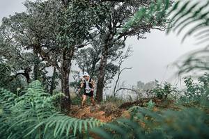 BIB: 
                            <button type="button" onclick="openModal(25326470)" class="btn btn-primary btn-sm float-right btn-popup" data-toggle="modal" data-target=".modal-high-quality">
                        <i class="fas fa-shopping-cart"></i> Add to Cart
                    </button>
                                            <button type="button" onclick="isThisMe(25326470, true)" class="btn btn-success btn-sm float-right btn-popup btn-isme hidden" data-toggle="tooltip" data-placement="bottom" title="นี่คือรูปของคุณใช่ไหม คลิกที่นี่เพื่อเอาเข้าอัลบั้ม">
                        <i class="fas fa-plus"></i> Add to album
                    </button>
                    <button type="button" onclick="isThisMe(25326470, false)" class="btn btn-warning btn-sm float-right btn-popup btn-isnotme hidden">
                        <i class="fas fa-ban"></i> Remove from album
                    </button>